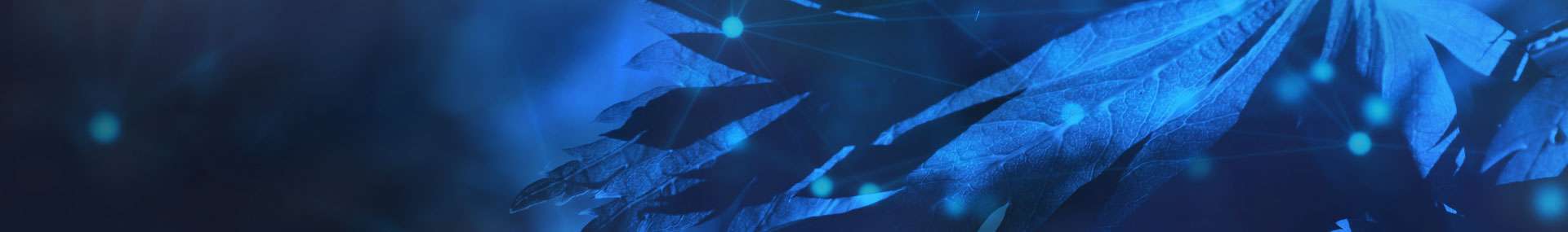 光纤产品狗万网站c